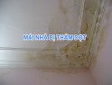 Cách chống thấm mái nhà bê tông bị nứt dột triệt để 100%