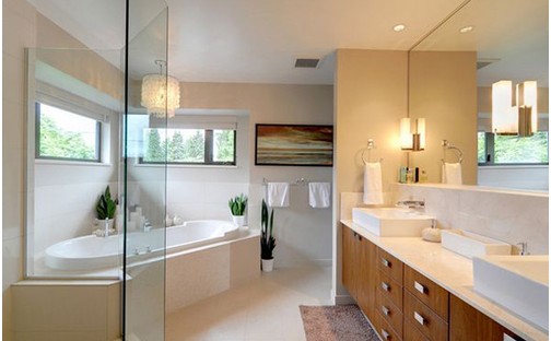 Những loại cây nên trồng trong phòng vệ sinh để thanh lọc không khí tốt nhất