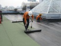 Hướng dẫn chống thấm cho mái nhà bê tông bằng SIKA từ A đến Z